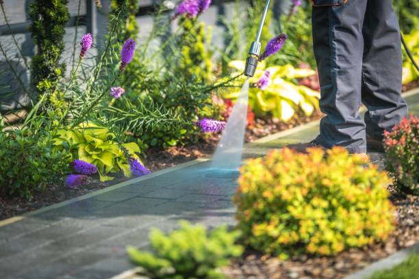 Trusted Marmora, NJ Pressure Washing Experts