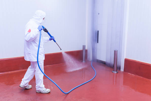 Best Spring Cleaning  in Marmora, NJ
