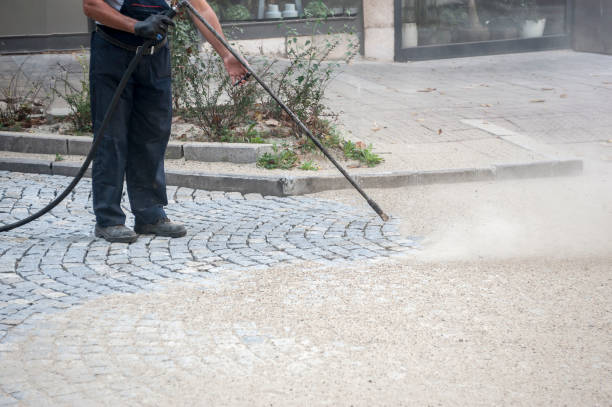 Best Animal Enclosure Cleaning  in Marmora, NJ